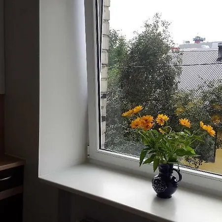 Apartament Двухэтажные Апартаменты В Центе Города *